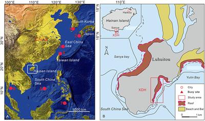 Paleo-Typhoon Events as Indicated by Coral Reef Boulder Deposits on the Southern Coast of Hainan Island, China